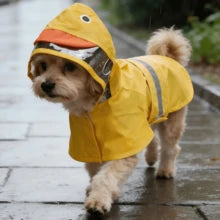 PETSIN Hooded Waterproof Dog Rain Coat With Transparent Visor And Reflective Strips, Cute Duck, Frog, Shark Designs, Suitable For Outdoor Walking And Rainy Days