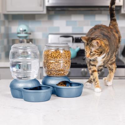 Petmate Pearl Replendish Waterer with Microban, Peacock Blue, 1/2-gal