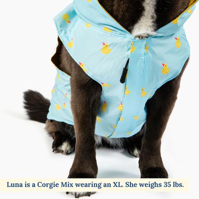 Lucy & Co. The Lucky Ducky Reversible Waterproof Dog Raincoat, Blue/Yellow, Medium