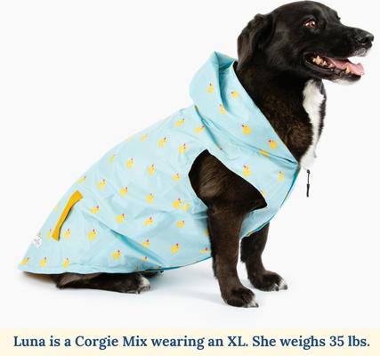 Lucy & Co. The Lucky Ducky Reversible Waterproof Dog Raincoat, Blue/Yellow, Medium